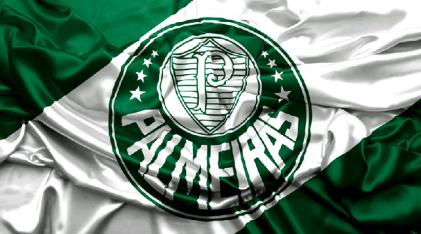 Palmeiras lima